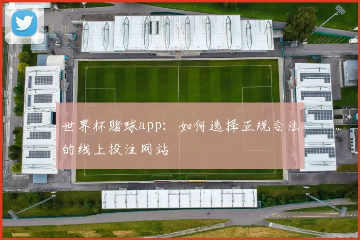 世界杯赌球app:如何选择正规合法的线上投注网站