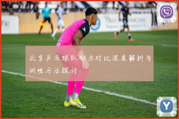 北京乒乓球队耐力对比深度解析与训练方法探讨