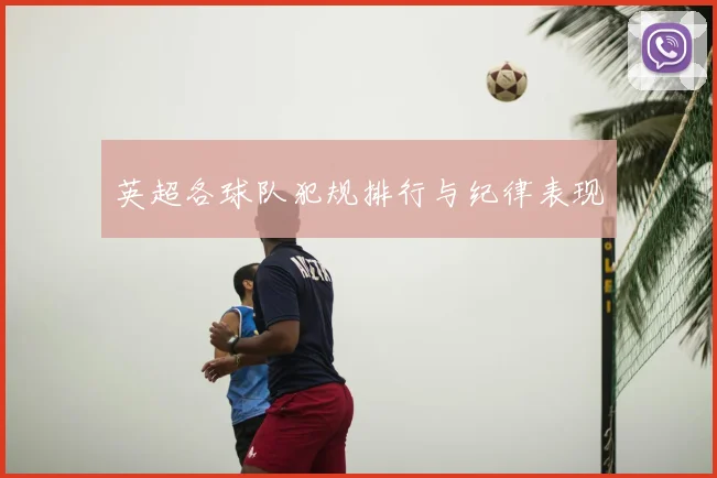 英超各球队犯规排行与纪律表现