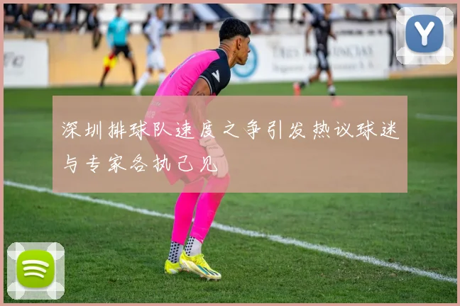 深圳排球队速度之争引发热议球迷与专家各执己见