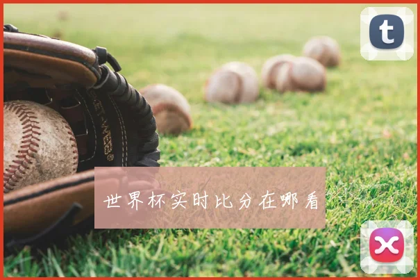 世界杯实时比分在哪看