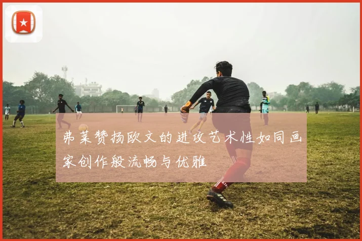 弗莱赞扬欧文的进攻艺术性如同画家创作般流畅与优雅