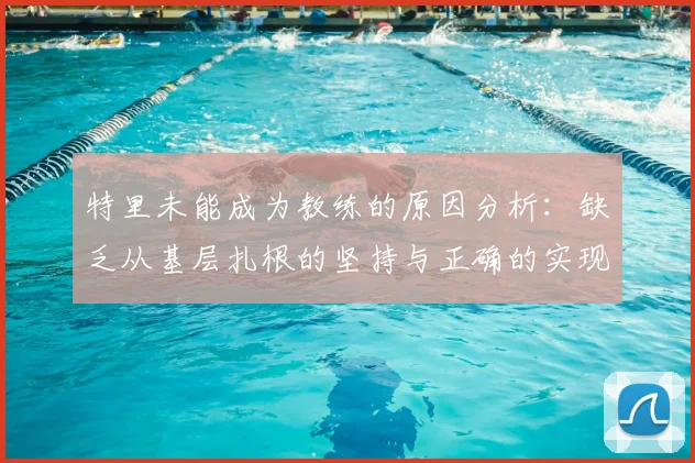 特里未能成为教练的原因分析：缺乏从基层扎根的坚持与正确的实现方式