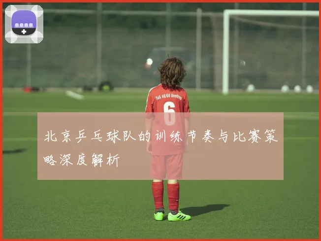 北京乒乓球队的训练节奏与比赛策略深度解析