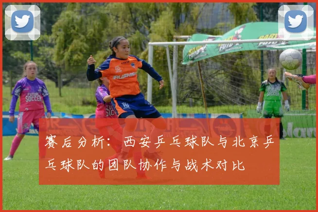 赛后分析:西安乒乓球队与北京乒乓球队的团队协作与战术对比