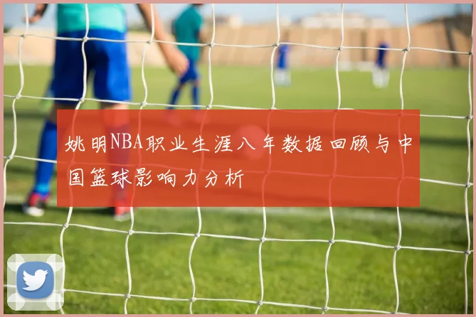 姚明NBA职业生涯八年数据回顾与中国篮球影响力分析
