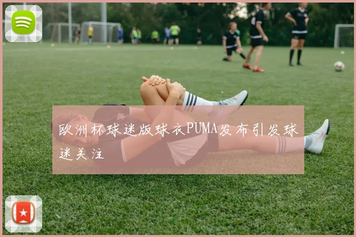 欧洲杯球迷版球衣PUMA发布引发球迷关注